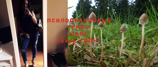 индика Красноперекопск