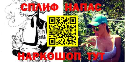 стаф Моздок