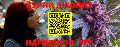 стаф Моздок