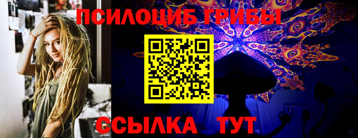 Псилоцибиновые грибы прущие грибы  Псилоцибиновые грибы ЛСД  Красноперекопск  где купить наркоту  Вход с VPN 